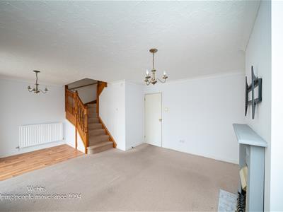 Picture 28
